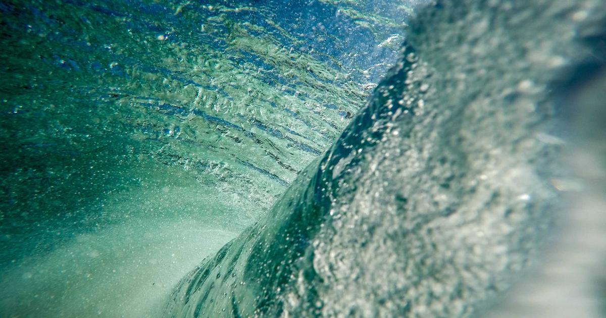 ETFs will usher institutions into altcoins, just like Bitcoin: Analyst