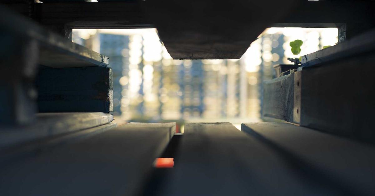 Crypto treasury companies accelerating market drop, professor argues