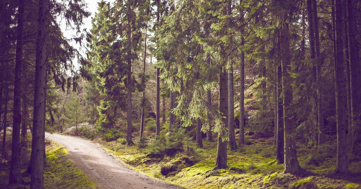 Ethereum traders flip bullish as rest of market remains fearful