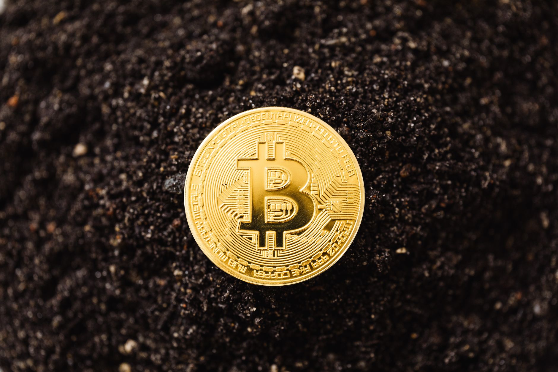Close-up of a golden Bitcoin coin resting on dark soil, symb