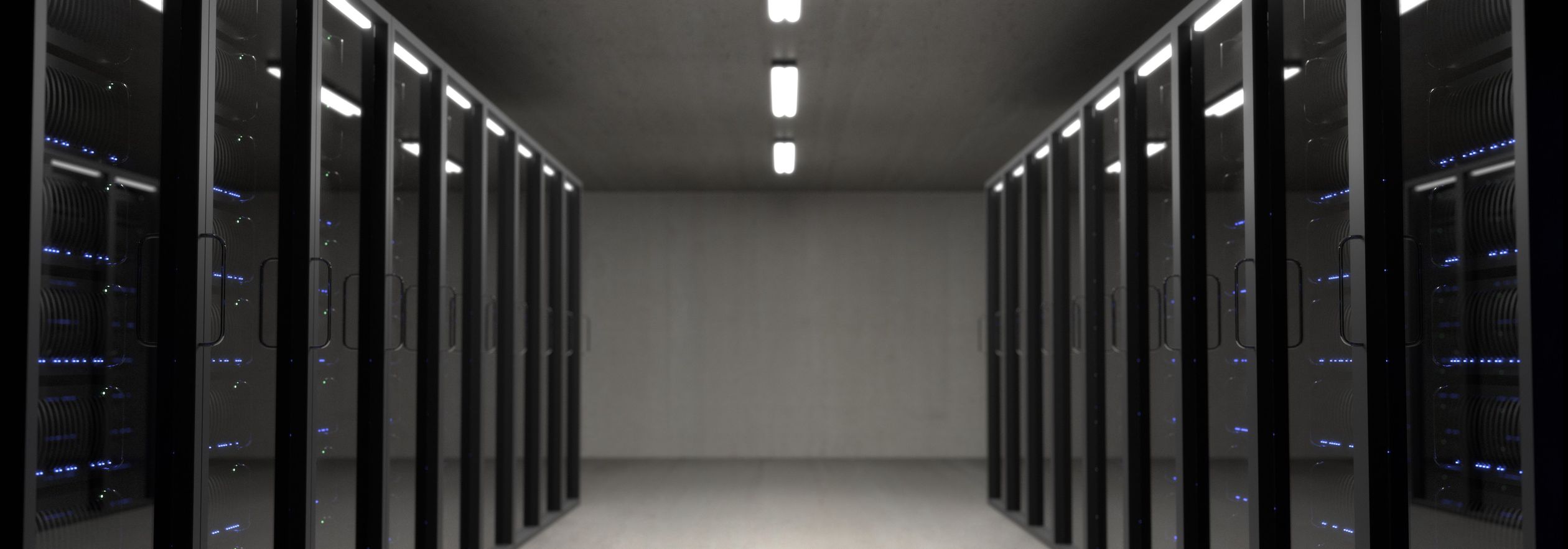 Professional data center interior with organized server racks - Rax Mining